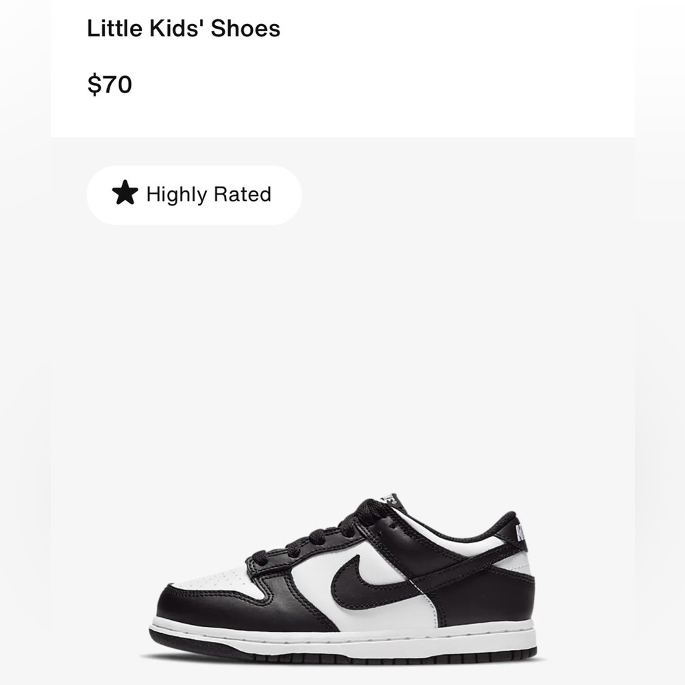 NIKE DUNK LOW CASUAL SHOES